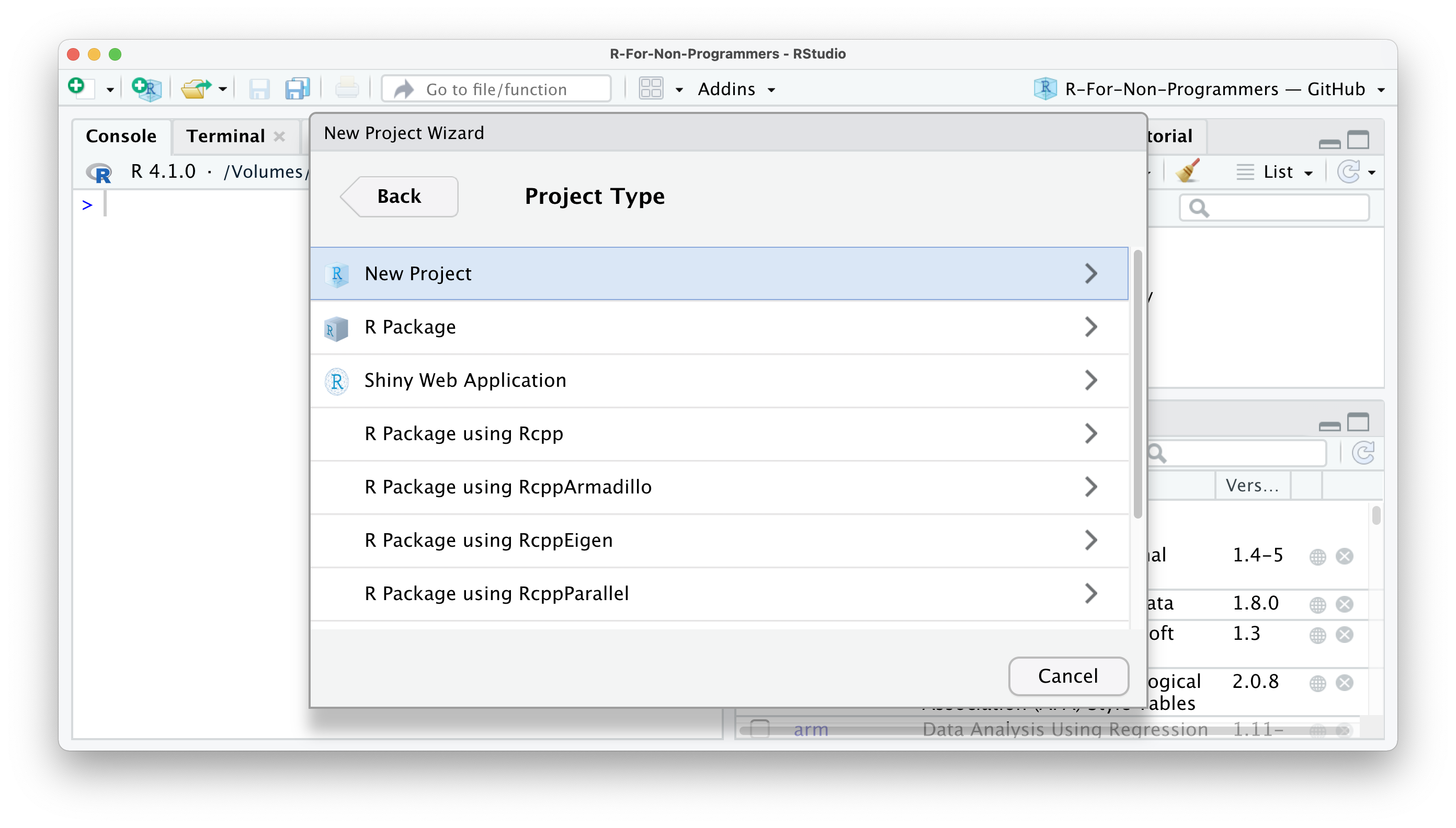 The full set of project you can initialize through the RStudio IDE